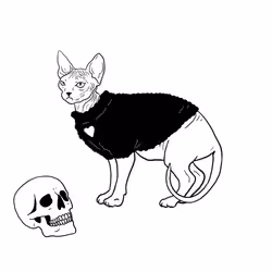 The Sad Cat #4480