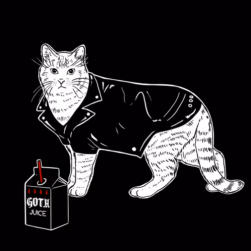 The Sad Cat #5114