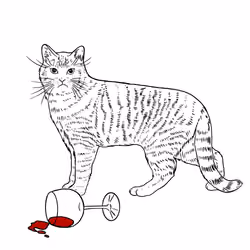 The Sad Cat #6159