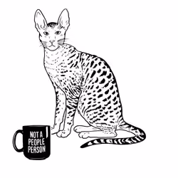 The Sad Cat #6377