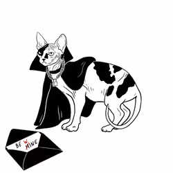 The Sad Cat #5164