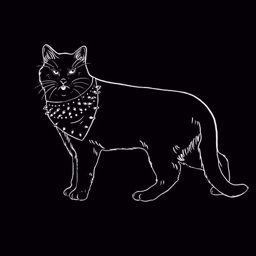 The Sad Cat #6376