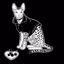 The Sad Cat #3539