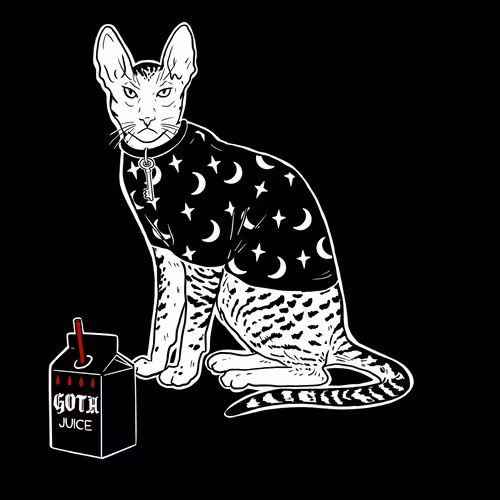The Sad Cat #5640