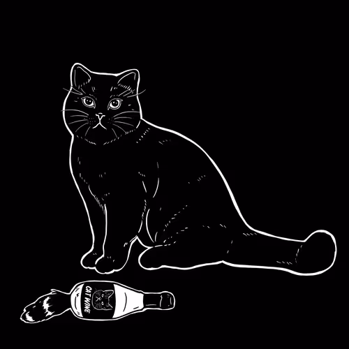 The Sad Cat #6630