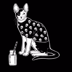 The Sad Cat #6298