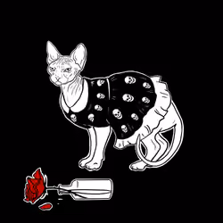The Sad Cat #5734