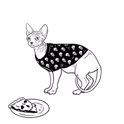 The Sad Cat #3514