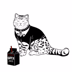 The Sad Cat #2753