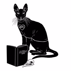 The Sad Cat #5633