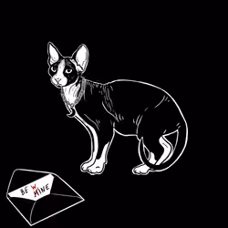The Sad Cat #3585