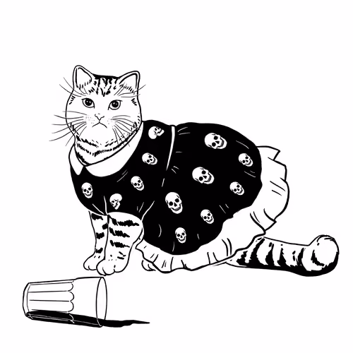 The Sad Cat #5592