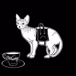 The Sad Cat #4924