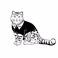 The Sad Cat #6772