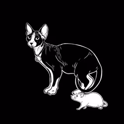 The Sad Cat #5780