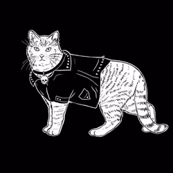 The Sad Cat #1945