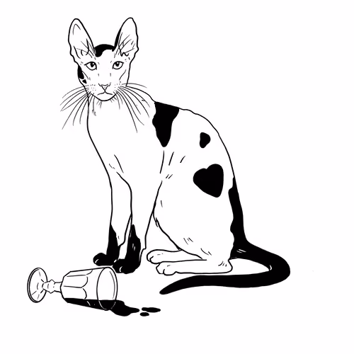 The Sad Cat #4957