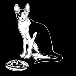 The Sad Cat #5494