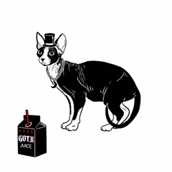 The Sad Cat #5041