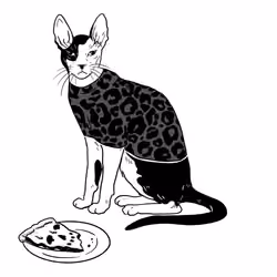 The Sad Cat #4114