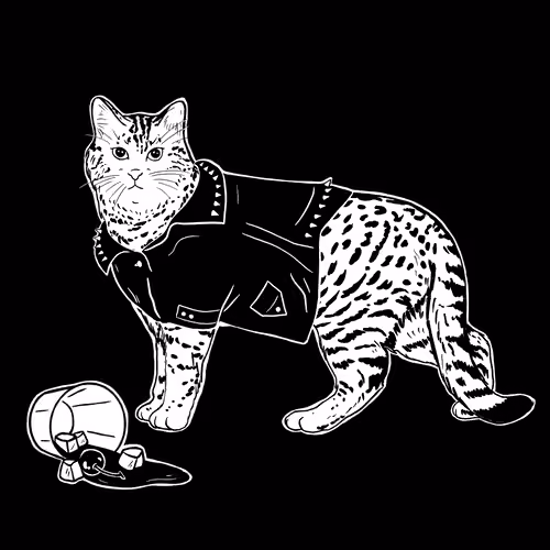 The Sad Cat #6233