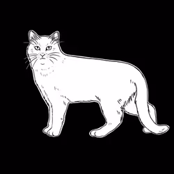 The Sad Cat #4499