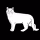 The Sad Cat #4499