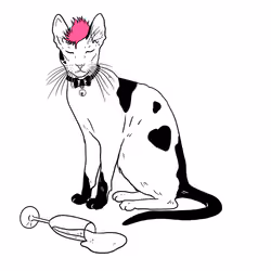 The Sad Cat #3433