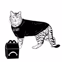 The Sad Cat #2968