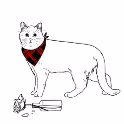 The Sad Cat #5619