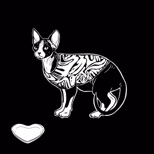 The Sad Cat #469