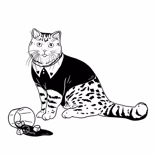 The Sad Cat #2245