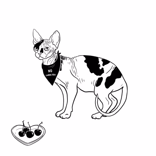 Thesadcats
