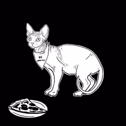 The Sad Cat #5708
