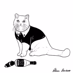 The Sad Cat #3588