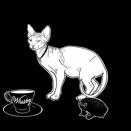 The Sad Cat #6545
