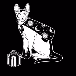 The Sad Cat #5586