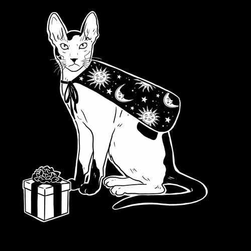 The Sad Cat #5586