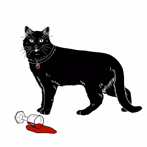 The Sad Cat #2874