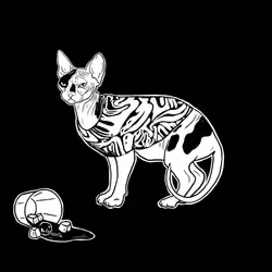 The Sad Cat #6334