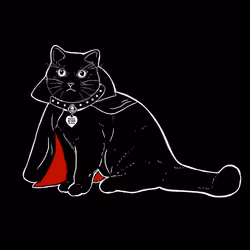 The Sad Cat #1960