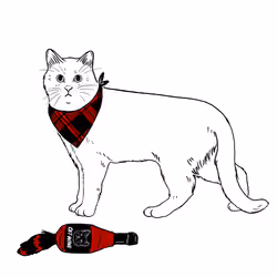 The Sad Cat #1950
