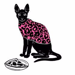 The Sad Cat #75