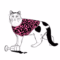 The Sad Cat #6559