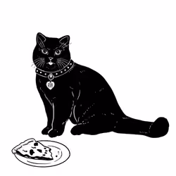 The Sad Cat #6546
