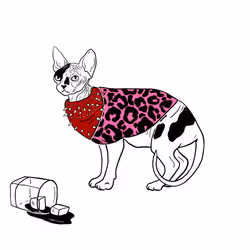 The Sad Cat #2571