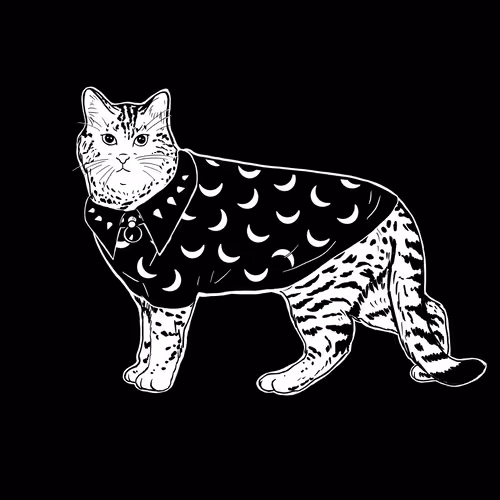 Thesadcats