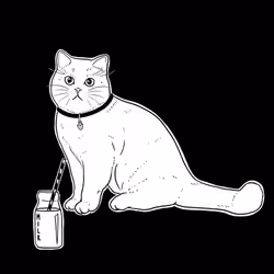 The Sad Cat #4581