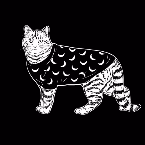 Thesadcats
