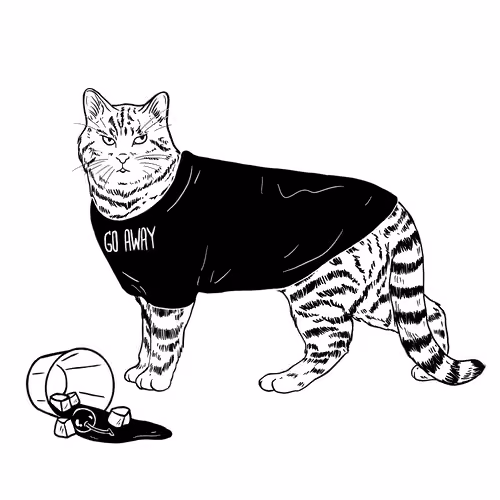 The Sad Cat #3479